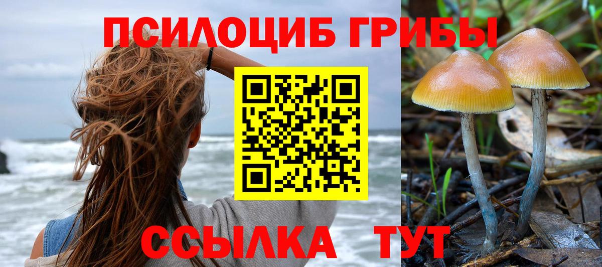 сколько стоит  Галлюциногенные грибы Magic Shrooms  Вход с VPN  Лянтор  Галлюциногенные грибы GOLDEN TEACHER 