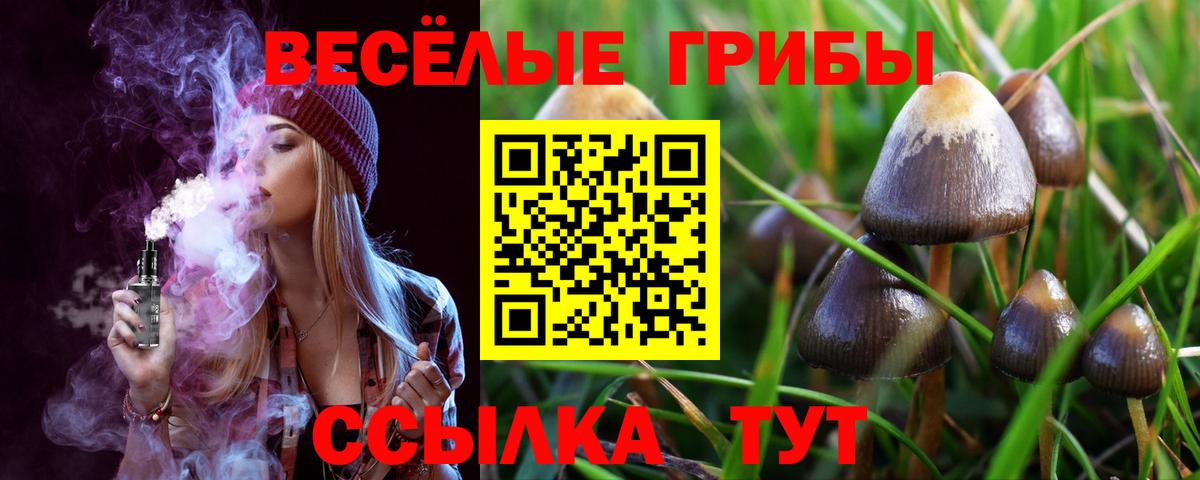 Галлюциногенные грибы ЛСД Лянтор
